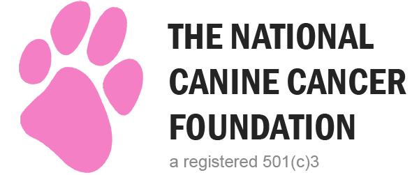 NCCF Partner Portal